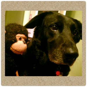 PhotoGrid_1391153210382