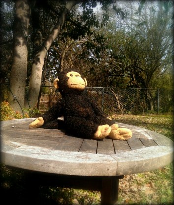 CYMERA_20140218_134610