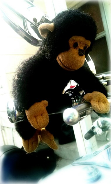 CYMERA_20140218_140319