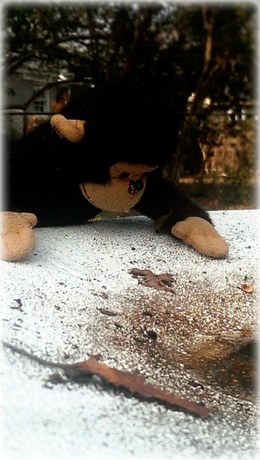 CYMERA_20140218_140432