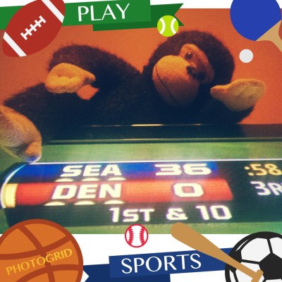 PhotoGrid_1391545925713