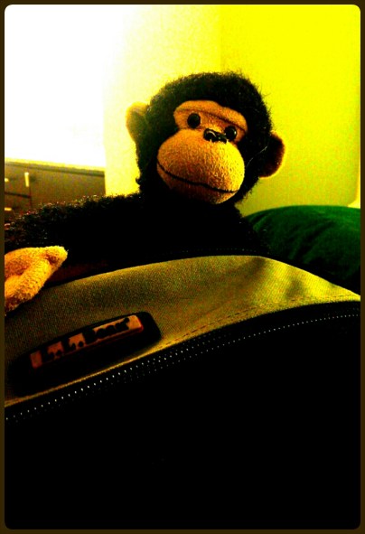 PhotoGrid_1391990715442