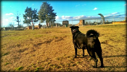 CYMERA_20140314_030001