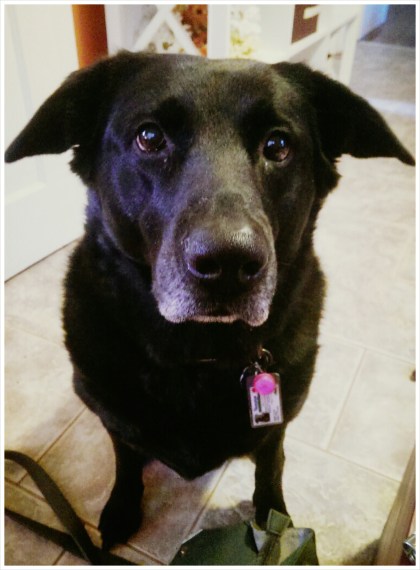 PhotoGrid_1394052202173