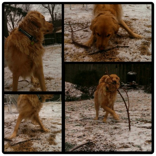 PhotoGrid_1394052898479