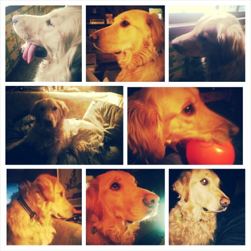 PhotoGrid_1394053691074