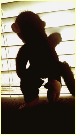 PhotoGrid_1394787822907